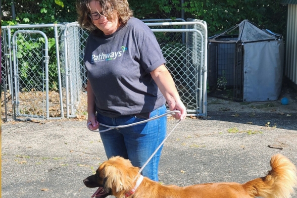 Springfield Dog Shelter Volunteers